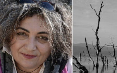 Despoina Apostolidou: The silent witness – where light remembers